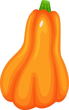 Olgun, turuncu bir balkabağının karikatür çizimi. Bahçeden yeni toplanmış, Cadılar Bayramı ya da Şükran Günü süslemeleri için hazır.