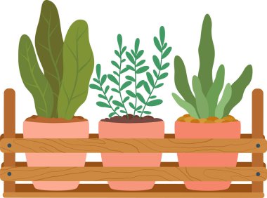 Büyük yeşil yapraklı saksı bitkileri ahşap bir rafta dizilir. Ev dekorasyonu veya bahçe işleri için mükemmel bir ortam yaratırlar.