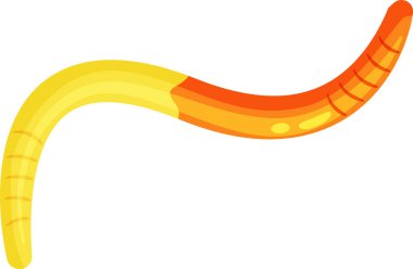 Parça parça gezen bir yer solucanının renkli bir tasviri ve omurgasızlar ve toprak biyolojisi üzerine eğitici materyaller için ideal sarı clitellum.