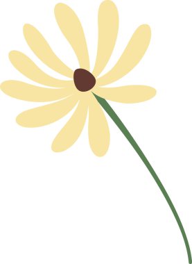 Sapı biraz sağa eğilmiş, beyaz arkaplanda izole edilmiş, minimalist ve modern tasarımlar için mükemmel bir sarı papatya tasviri.