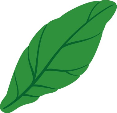Beyaz zemin üzerinde belirgin damarları olan tek yeşil yaprak, doğa, büyüme ve tazeliği temsil ediyor, ekoloji, botanik veya sağlıklı yaşam tarzları ile ilgili projeler için ideal.