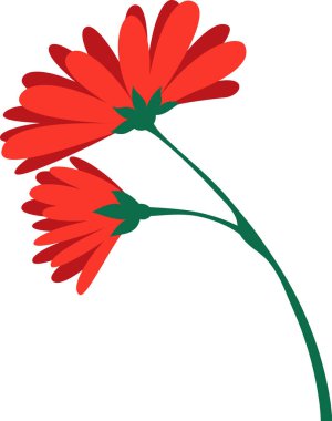 Zarif kıvrımlı yeşil bir sapta açan iki canlı kırmızı çiçek, doğanın güzelliğini basit ama çarpıcı bir şekilde yakalayan zarif bir çiçek tasarımı sergiliyor.