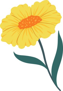 Beyaz arka planda büyüyen turuncu ve yeşil yapraklı sarı çiçek, düz çizgi film tarzında basit vektör çizimi, doğa, bahar, yaz veya çiçek temalı tasarımlar için mükemmel