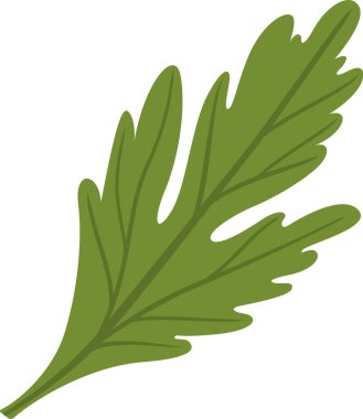 Maydanoz yaprağı, yaygın bir mutfak bitkisi, canlı yeşil rengini ve karmaşık dokusunu sergiler, herhangi bir yemek veya tasarıma tazelik katar.