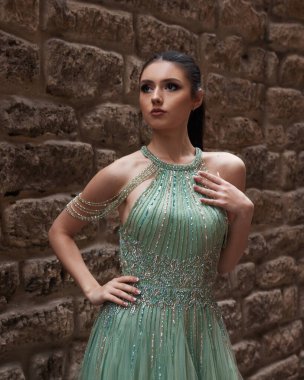 Elegant bride in a wedding dress