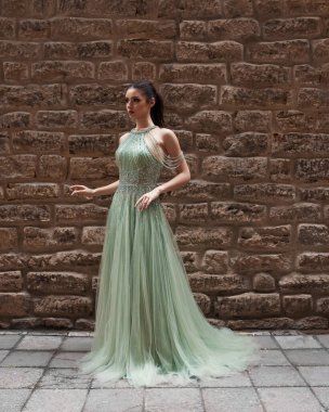 Elegant bride in a wedding dress