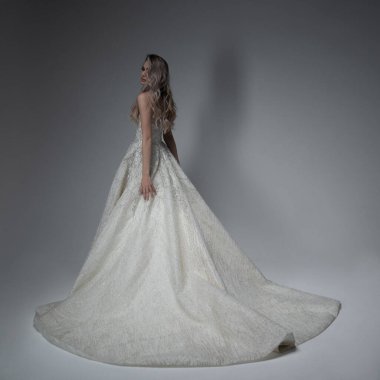 Elegant bride in a wedding dress