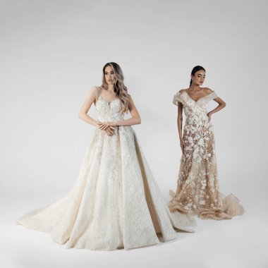 Elegant bride in a wedding dress