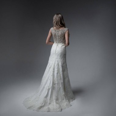 Elegant bride in a wedding dress