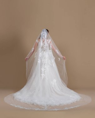 Elegant bride in a wedding dress