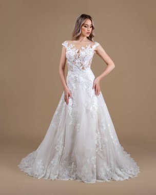 Elegant bride in a wedding dress