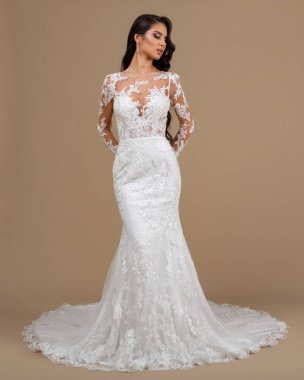 Elegant bride in a wedding dress