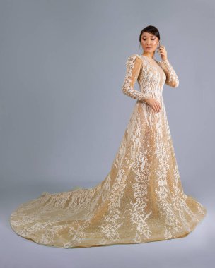 Elegant bride in a wedding dress