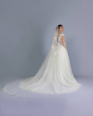 Elegant bride in a wedding dress