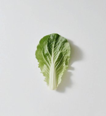 Beyaz bir yüzeyde Romaine ya da Napa lahana yaprağı.