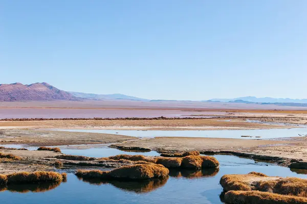Carachi Pampa Gölü, Catamarca, Arjantin 'de sakin bir sabah. Yüksek kalite fotoğraf