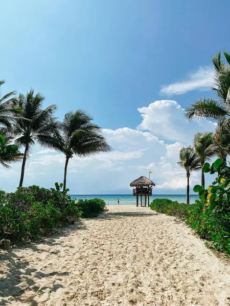 Palmiyeler, Playacar Sahili, Quintana Roo arasında can kurtaran kulesi, güneşli bir gün, Meksika. Yüksek kalite fotoğraf
