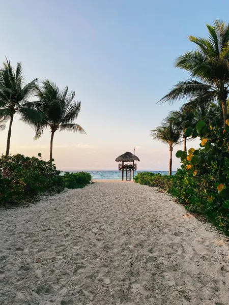 Palmiyeler arasında can kurtaran kulesi, Playacar Sahili, Quintana Roo, günbatımı, Meksika. Yüksek kalite fotoğraf