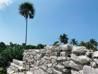 Tulum 'daki Tulum Kalıntıları Quintana Roo' daki Tulum Arkeolojik Bölgesi, Meksika 'daki Yucatan Yarımadası. Yüksek kalite fotoğraf