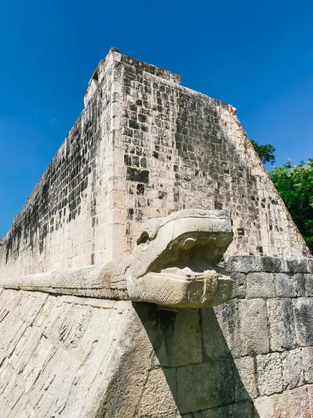 Top sahasında yılan ayrıntıları veya Chichen Itza 'da juego de pelota - Yucatan, Meksika.