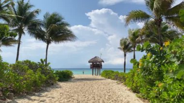 Palmiyeler, Playacar Sahili, Quintana Roo arasında can kurtaran kulesi güneşli ve rahatlatıcı bir gün, Meksika. 4k video