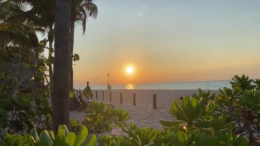 Sakin plaj ve palmiyeler, Playacar Sahili, Quintana Roo, güzel ve rahatlatıcı gün batımı, Meksika. 4k video