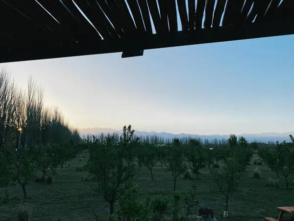 Bir konteyner evindeki terastan dağların manzarası. Yüksek kalite fotoğraf