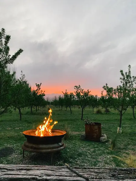 Mendoza, Arjantin 'de dağ manzaralı lezzetli bir asado için hazır. Yüksek kalite fotoğraf