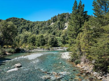Yeşil ve mavi renkleri olan şeffaf bir nehir, altında su altında kalmış ağaç gövdeleri ve pürüzsüz taşlar bulunan, açık mavi bir gökyüzünün altındaki ormanlık bir dağ vadisinde esiyor. Rio Azul, El Bolson, Arjantin