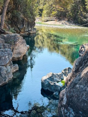 Yeşil ve mavi renkleri olan şeffaf bir nehir, altında su altında kalmış ağaç gövdeleri ve pürüzsüz taşlar bulunan, açık mavi bir gökyüzünün altındaki ormanlık bir dağ vadisinde esiyor. Rio Azul, El Bolson, Arjantin