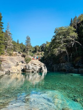 Yeşil ve mavi renkleri olan şeffaf bir nehir, altında su altında kalmış ağaç gövdeleri ve pürüzsüz taşlar bulunan, açık mavi bir gökyüzünün altındaki ormanlık bir dağ vadisinde esiyor. Rio Azul, El Bolson, Arjantin