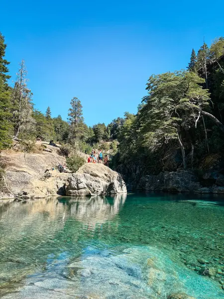 Yeşil ve mavi renkleri olan şeffaf bir nehir, altında su altında kalmış ağaç gövdeleri ve pürüzsüz taşlar bulunan, açık mavi bir gökyüzünün altındaki ormanlık bir dağ vadisinde esiyor. Rio Azul, El Bolson, Arjantin