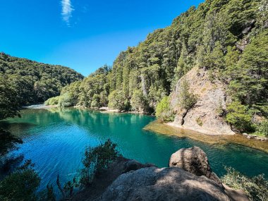 Yapraklı ağaçlar ve sık ormanlardan oluşan bir çerçevenin içinden görünen gizli bir turkuaz nehir berrak mavi gökyüzünün altında sakin sudan yansıyan güneş ışığıyla görülebilir.