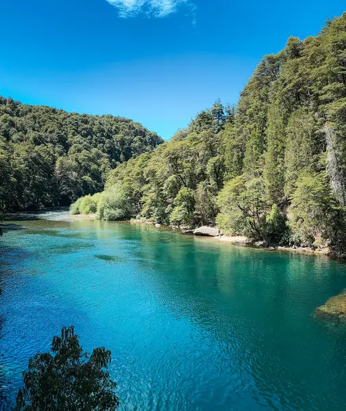 Yapraklı ağaçlar ve sık ormanlardan oluşan bir çerçevenin içinden görünen gizli bir turkuaz nehir berrak mavi gökyüzünün altında sakin sudan yansıyan güneş ışığıyla görülebilir.