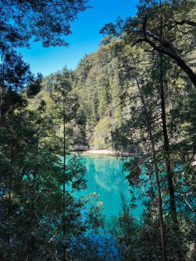 Yapraklı ağaçlar ve sık ormanlardan oluşan bir çerçevenin içinden görünen gizli bir turkuaz nehir berrak mavi gökyüzünün altında sakin sudan yansıyan güneş ışığıyla görülebilir.