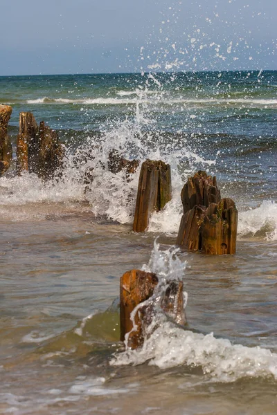 Wooden piles break sea waves at the sea