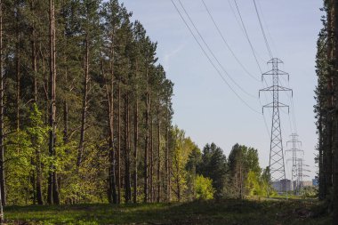 Şehre elektrik sağlayan elektrik hattı orman tarafından yönetilen elektrik hattı şehre elektrik sağlıyor.