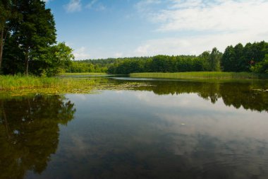 Studzieniczna Gölü, güneşli bir tatil gününde yaz manzarası, Polonya