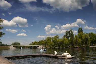 Augustow, Netta Nehri, tatil tatili, turistik eğlence ve kuğular köprüde.