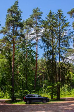 Ormana park etmek, dinlenmek ve doğal ortamda dinlenmek için bir yer