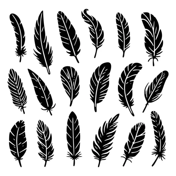 Collection Bird Feathers Set Icon Feather Silhouette Vintage Pen Calligraphy — Stock Vector