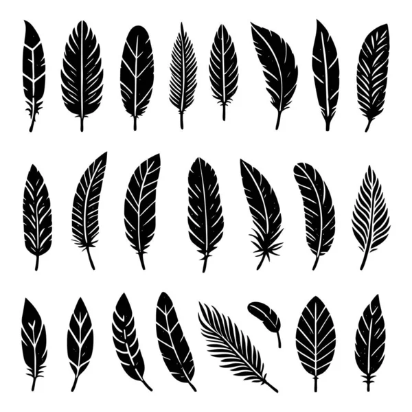 Collection Bird Feathers Set Icon Feather Silhouette Vintage Pen Calligraphy — Stock Vector