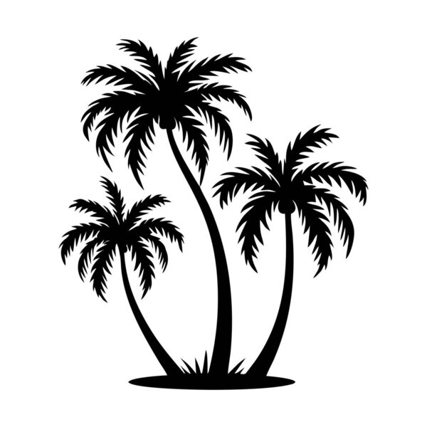 Palm Tree Silhouette Icon Tropical Black Jungle Plants Vector White — Stock Vector