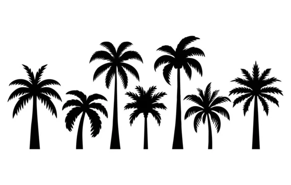 stock vector Set of palm tree silhouette. Tropical black jungle plants. Vector on white background.