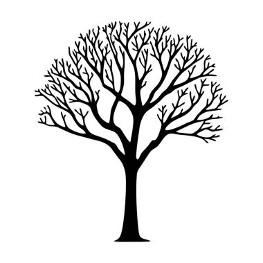 Yapraksız ağaç siyah silueti. Siyah ağaç ya da çıplak ağaç. Orman ve bahçe sembolü. Kurumuş ağaç vektör illüstrasyonu.