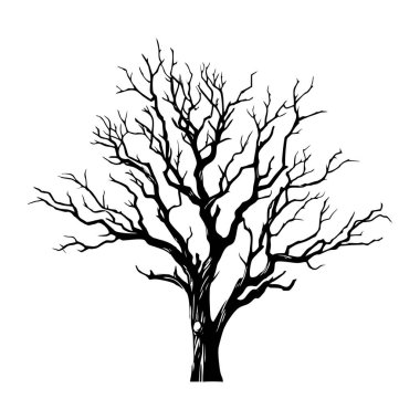 Yapraksız ağaç siyah silueti. Siyah ağaç ya da çıplak ağaç. Orman ve bahçe sembolü. Kurumuş ağaç vektör illüstrasyonu.