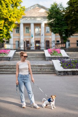 Köpeği Jack Russell Terrier ile birlikte sıradan kıyafetler giyen kızıl saçlı genç bir kadın.