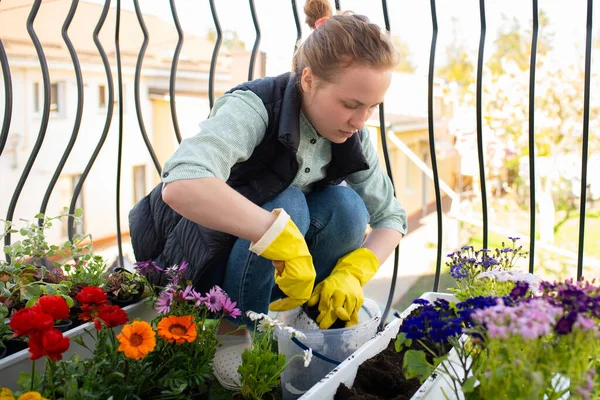 A young smiling woman transplants flowers on the balcony