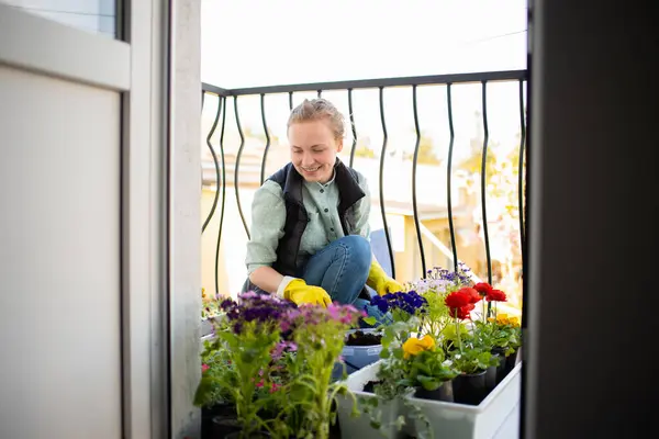A young smiling woman transplants flowers on the balcony