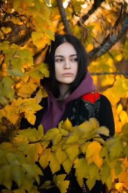 Sarı ıhlamur tarlasında bir kadın sonbahar parkında uzaklaşıyor.